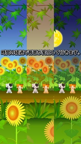 「ヒマワリと子猫 -夏にぴったりの向日葵の待受-」のスクリーンショット 2枚目