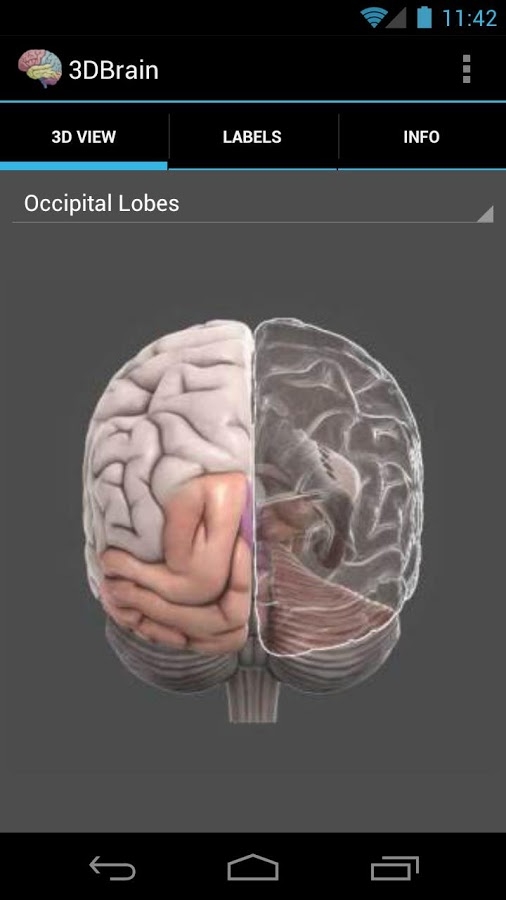 「3D Brain」のスクリーンショット 1枚目