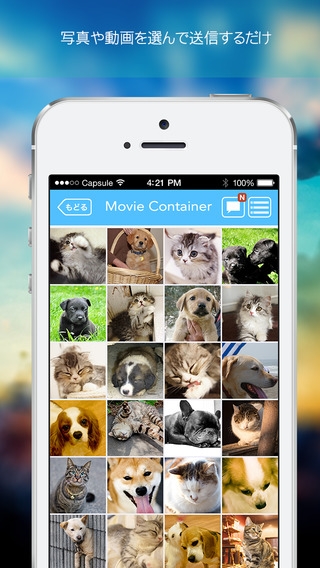 動画コンテナ 誰でも無料で写真や動画を簡単共有 のスクリーンショット 1枚目 Iphoneアプリ Appliv