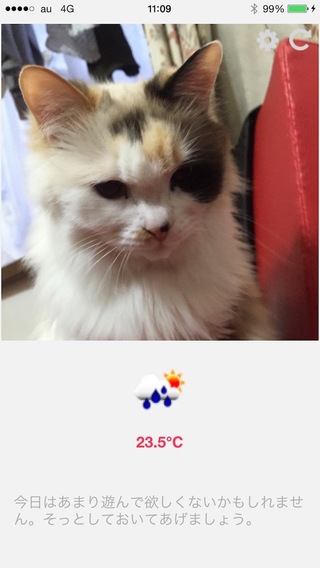 「ねこ天気アラート」のスクリーンショット 1枚目
