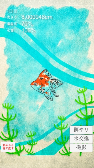 「金魚育成アプリ-簡単なお世話でキンギョを育てる癒しのゲーム」のスクリーンショット 2枚目