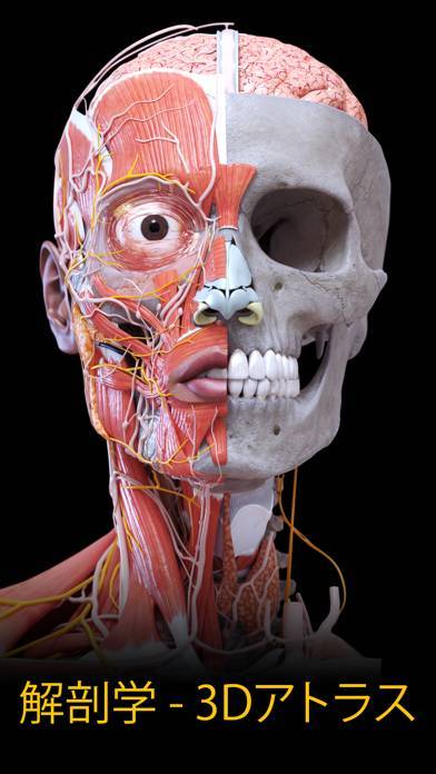 「解剖学 - 3Dアトラス」のスクリーンショット 1枚目