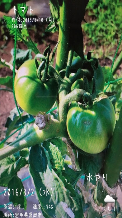「ガーデンノート: 野菜をカメラで撮るだけ！栽培記録の決定版！」のスクリーンショット 3枚目