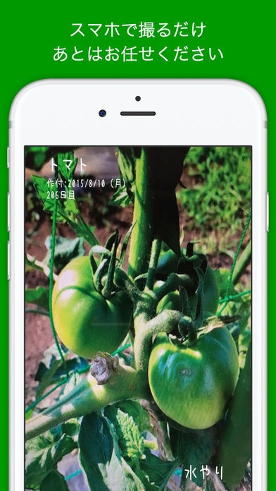 「ガーデンノート: 野菜をカメラで撮るだけ！栽培記録の決定版！」のスクリーンショット 1枚目