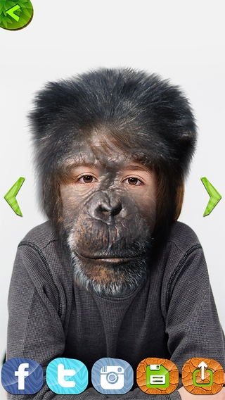 動物の顔 写真編集アプリ フォトモンタージュ 面白い動物の顔のステッカのスクリーンショット 3枚目 Iphoneアプリ Appliv