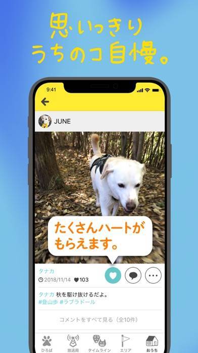 22年 ペット趣味snsアプリおすすめランキングtop6 無料 Iphone Androidアプリ Appliv