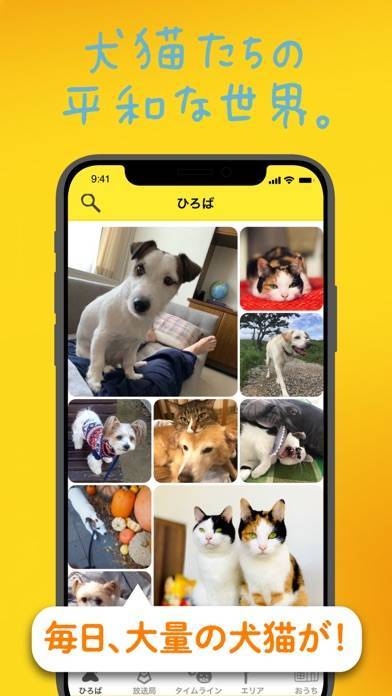 22年 犬アプリおすすめランキングtop10 無料 Iphone Androidアプリ Appliv