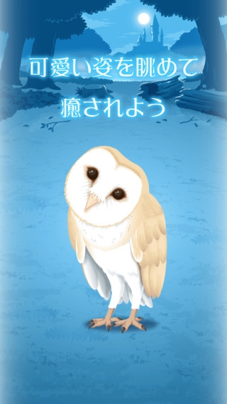 すぐわかる リアルなフクロウ育成ゲーム 不思議なフクロウ Appliv