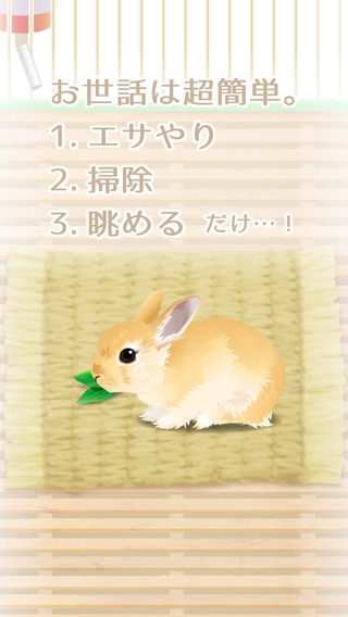 「癒しのウサギ育成ゲーム（無料）」のスクリーンショット 2枚目