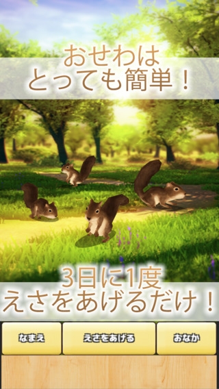「癒しのリス育成ゲーム-まったり小動物を飼育アプリ」のスクリーンショット 2枚目