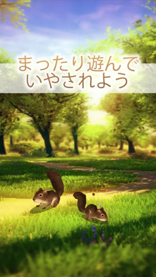 「癒しのリス育成ゲーム-まったり小動物を飼育アプリ」のスクリーンショット 3枚目