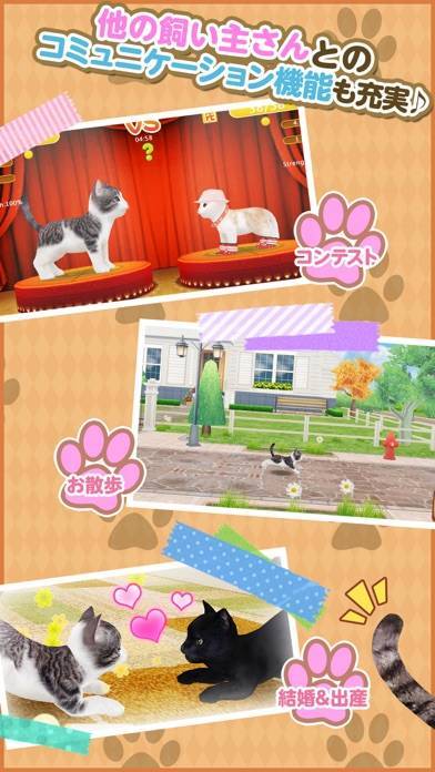 22年 おすすめの猫 にゃんこ 育成シミュレーションゲームアプリはこれ アプリランキングtop10 Iphone Androidアプリ Appliv