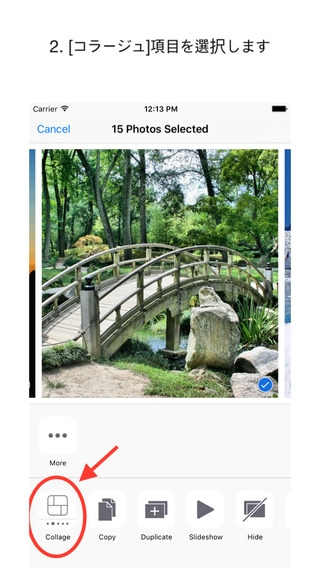「Collage Action for Photos Extension」のスクリーンショット 2枚目