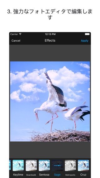 「Collage Action for Photos Extension」のスクリーンショット 3枚目