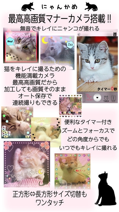 「にゃんかめ 高画質マナー(無音)カメラ 〜猫のためのデコアプリ〜」のスクリーンショット 1枚目