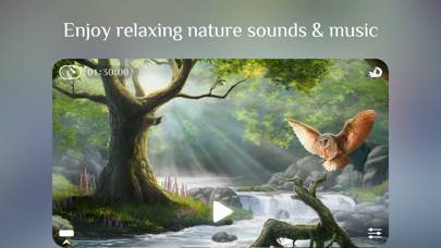 「Flowing ~ Meditation in Nature」のスクリーンショット 1枚目