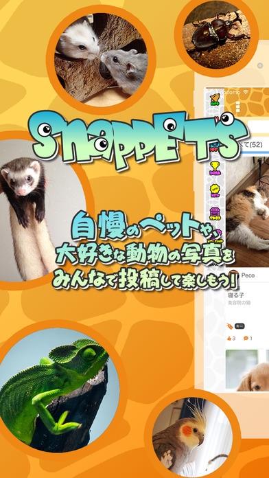 「SNAP PETS~スナップペット・ペット写真・情報共有コミュニティ~」のスクリーンショット 1枚目