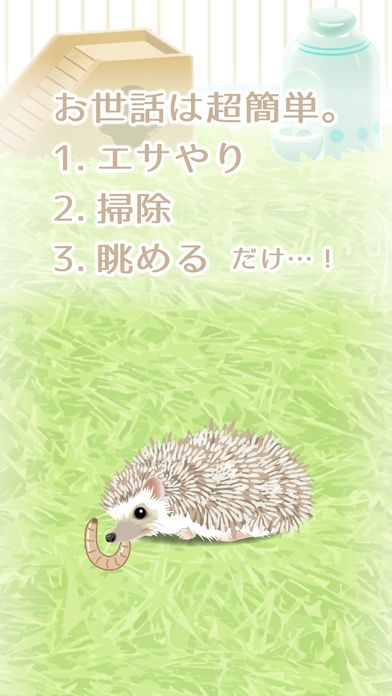 すぐわかる 癒しのハリネズミ育成ゲーム Appliv