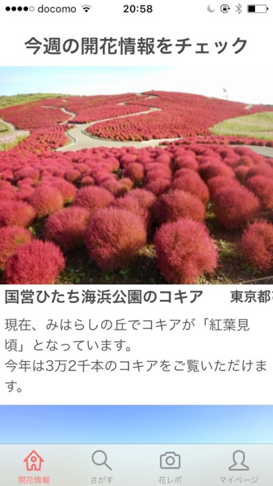 「花の名所案内-日本最大の花のデータベース」のスクリーンショット 2枚目