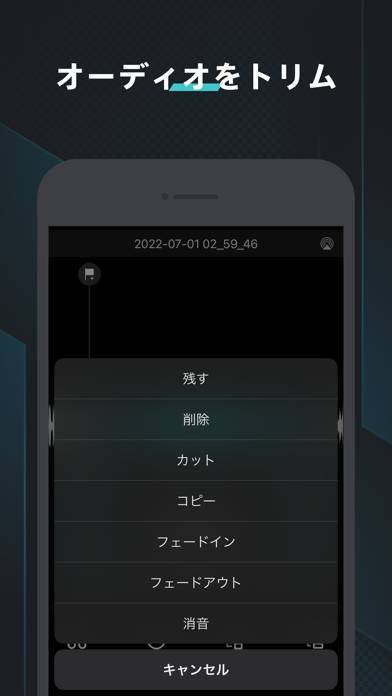 「ボイスレコーダー - ボイスメモ, 録音アプリ」のスクリーンショット 3枚目