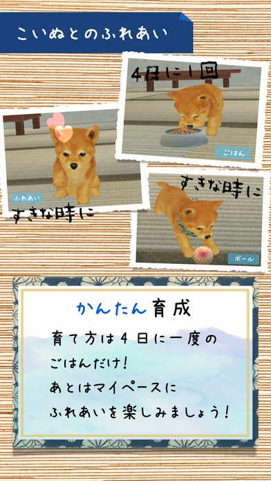 「幸せの柴犬育成ゲーム3D」のスクリーンショット 3枚目