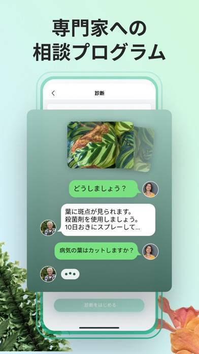 Picturethis 撮ったら 判る 1秒植物図鑑のスクリーンショット 5枚目 Iphoneアプリ Appliv