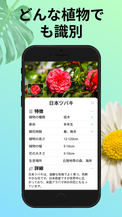 「PictureThis：花、木、ハーブを写真で識別」のスクリーンショット 2枚目