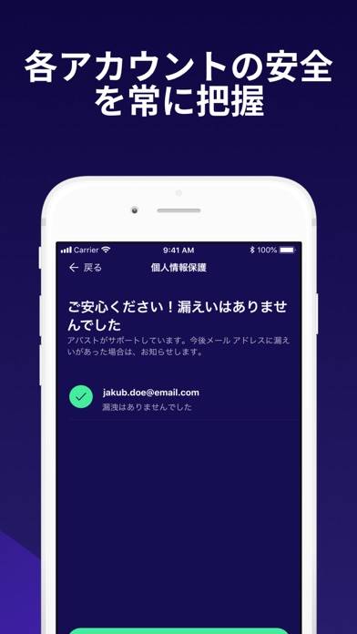 手鏡 アプリ 安い android 勝手に