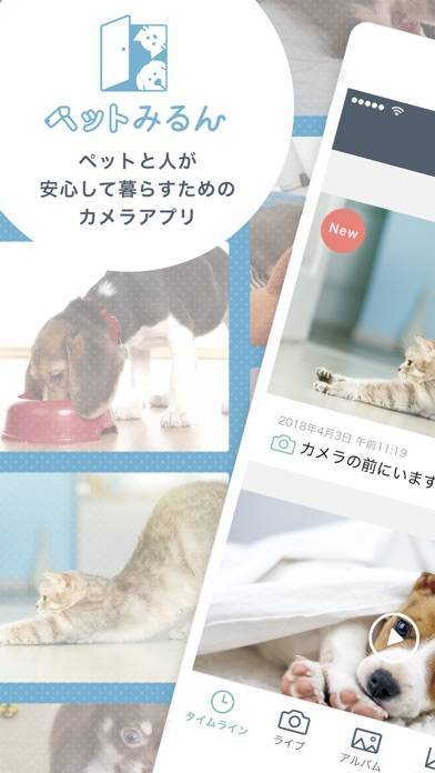 「ペットみるん - ペット見守りカメラ アプリ」のスクリーンショット 1枚目