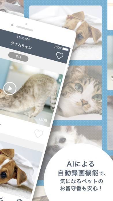 「ペットみるん - ペット見守りカメラ アプリ」のスクリーンショット 2枚目