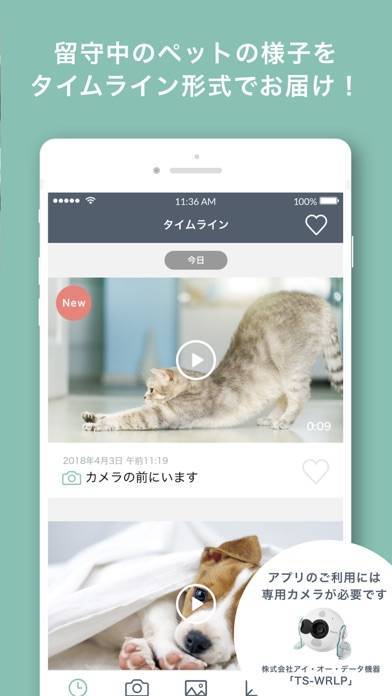 「ペットみるん - ペット見守りカメラ アプリ」のスクリーンショット 3枚目