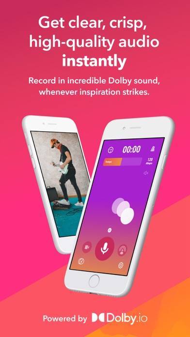 「Dolby On: Record Audio & Video」のスクリーンショット 1枚目
