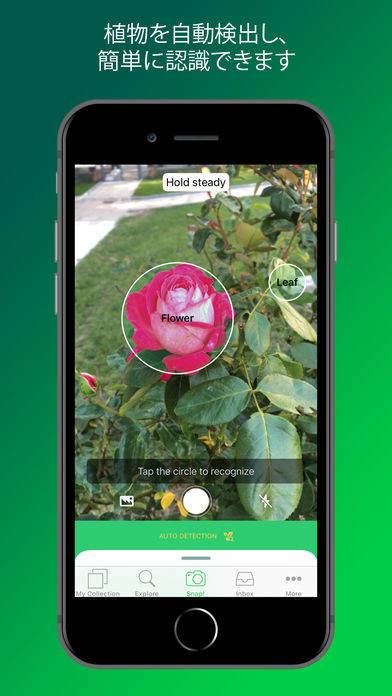 「PlantSnap - 花、植物、樹木、キノコなどの特定」のスクリーンショット 2枚目