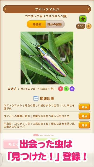 「見つけた！昆虫図鑑」のスクリーンショット 2枚目