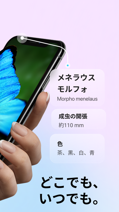 「Picture Insect: 写真から昆虫やクモを識別する」のスクリーンショット 2枚目