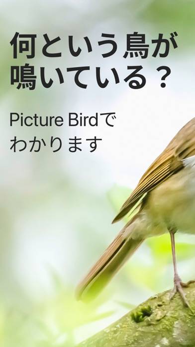 「Picture Bird - 撮ったら、判る--1秒鳥図鑑」のスクリーンショット 1枚目