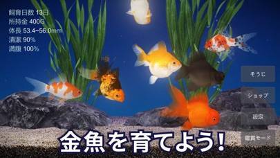 「金魚育成アプリ「ポケット金魚」」のスクリーンショット 1枚目