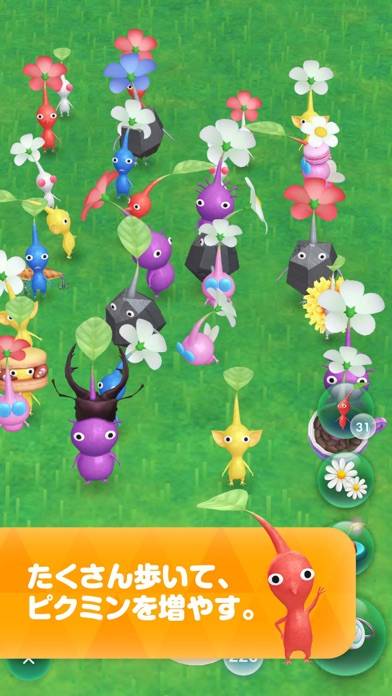 「Pikmin Bloom」のスクリーンショット 3枚目