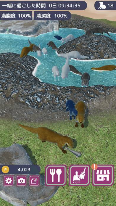 すぐわかる カワウソ育成ゲーム Appliv