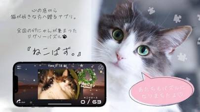「ねこぱず。心の底から猫が好きな人へ贈るアプリ」のスクリーンショット 1枚目