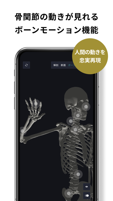 「チームラボボディPro(プロ)人体の解剖 解剖学」のスクリーンショット 3枚目