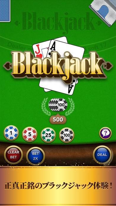 Blackjack - カジノカードゲームのスクリーンショット 5枚目 - iPhoneアプリ - Appliv
