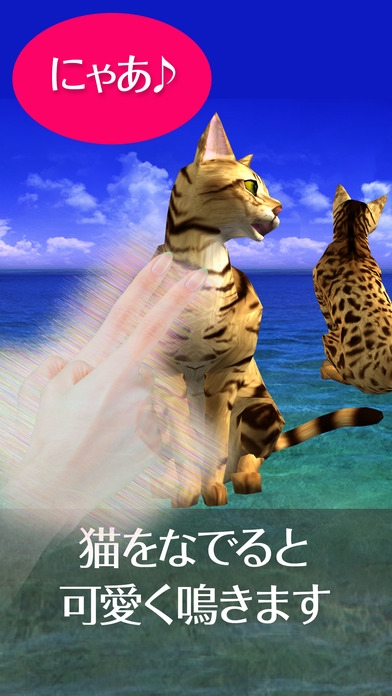 「猫っとベンガルがネコっ可愛くなでまくり遊べる無料ペットねこアプリ！」のスクリーンショット 1枚目