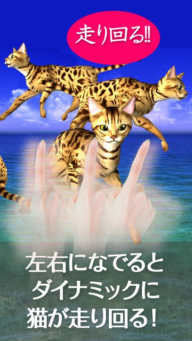 「猫っとベンガルがネコっ可愛くなでまくり遊べる無料ペットねこアプリ！」のスクリーンショット 2枚目