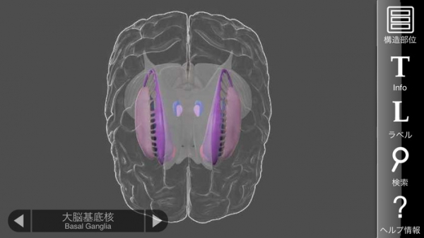 「3D Brain」のスクリーンショット 2枚目