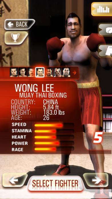 「Iron Fist Boxing Lite」のスクリーンショット 2枚目