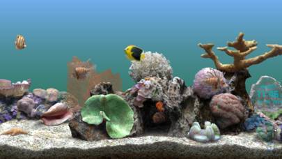 「Marine Aquarium 2.6」のスクリーンショット 1枚目