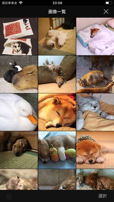 「まとめのまとめリーダー」のスクリーンショット 4枚目