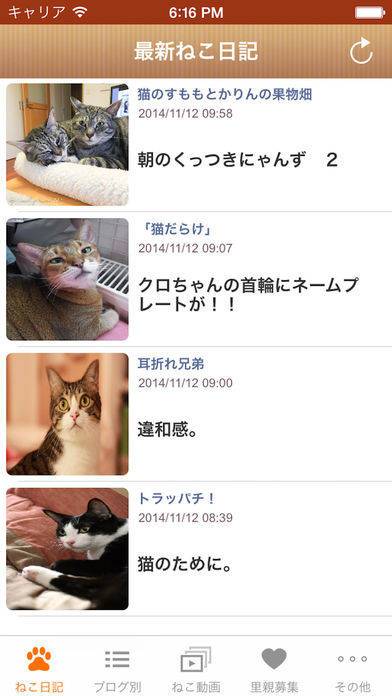「日刊ねこ新聞 - 猫ブログ＆ネコ動画アプリ」のスクリーンショット 1枚目