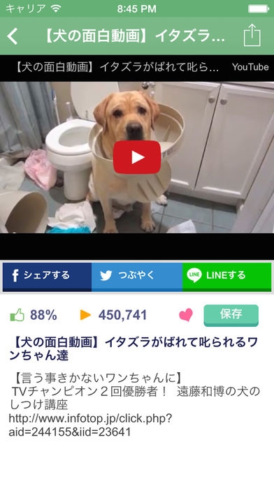 日刊いぬ新聞 犬ブログ イヌ動画アプリのスクリーンショット 5枚目 Iphoneアプリ Appliv